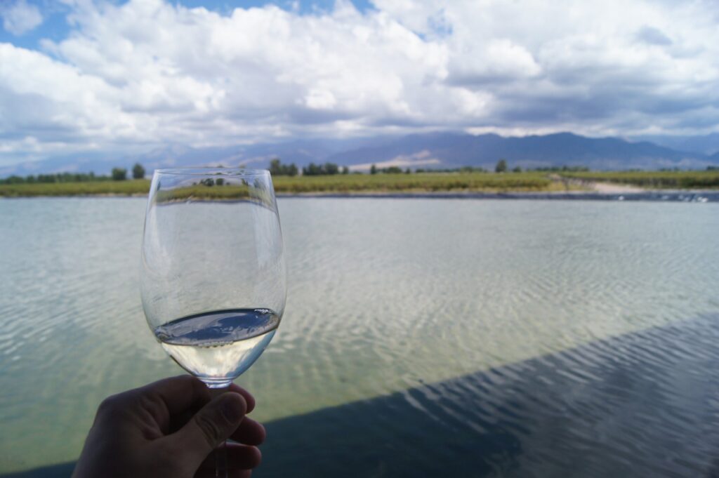 Descubra as belezas da cidade de Mendoza: vinícolas, montanhas e muito mais